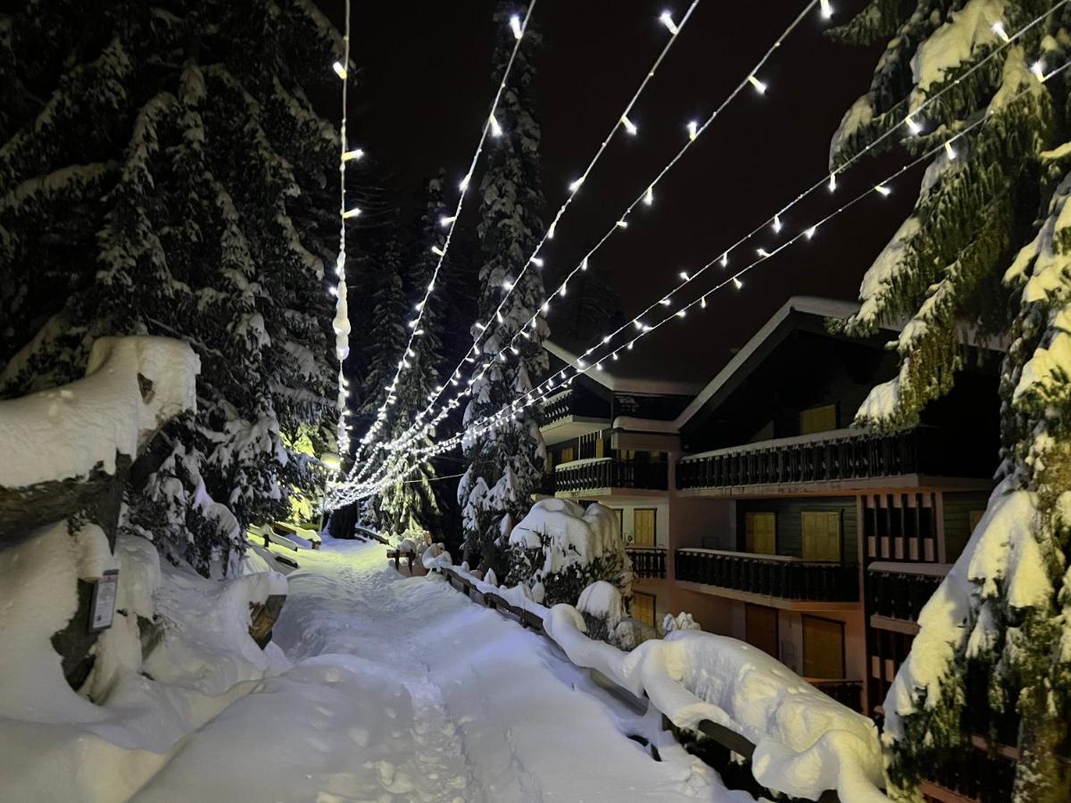 Cosy For 4 Near Lift, Melezes K22 Veysonnaz
