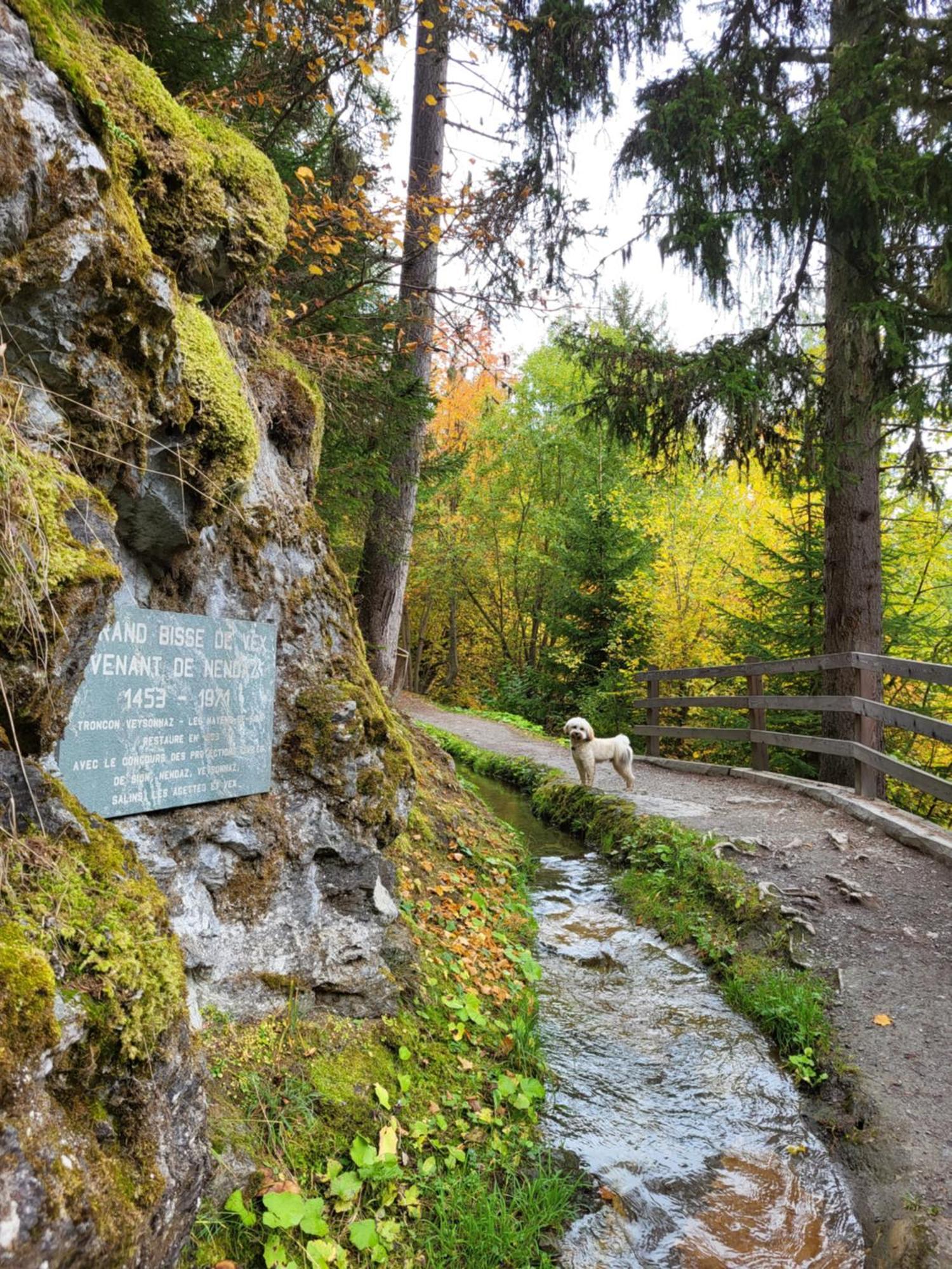 Cosy For 4 Near Lift, Melezes K22 Appartement Veysonnaz